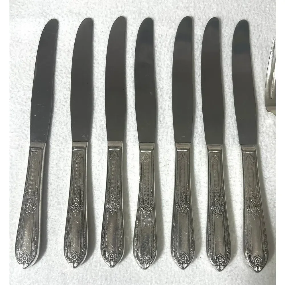 Vintage Wm Rogers IS 1937 Cotillion Pattern Silverplate Flatware 40 Assorted Pcs